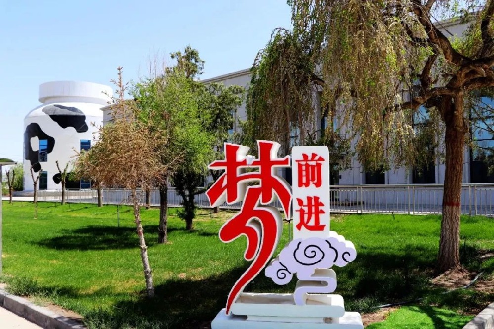 拼搏無聲，青春無悔
