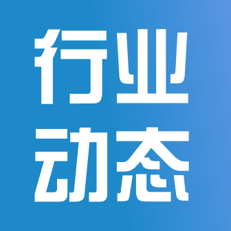什么是奶酪博士？