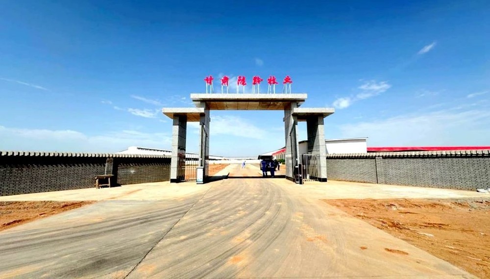 甘肅隴黔牧業(yè)：新建大門及道路工程順利竣工并完成驗(yàn)收