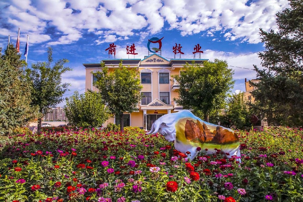 根植沃土，共沐朝陽——我與前進牧業(yè)同行的歲月