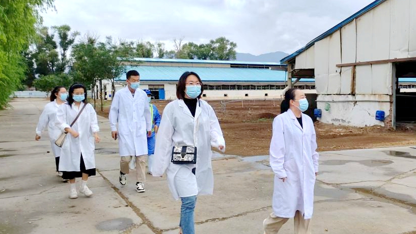 在供需之路上踐行“久久為功”——供應部在牧場的交流學習心得