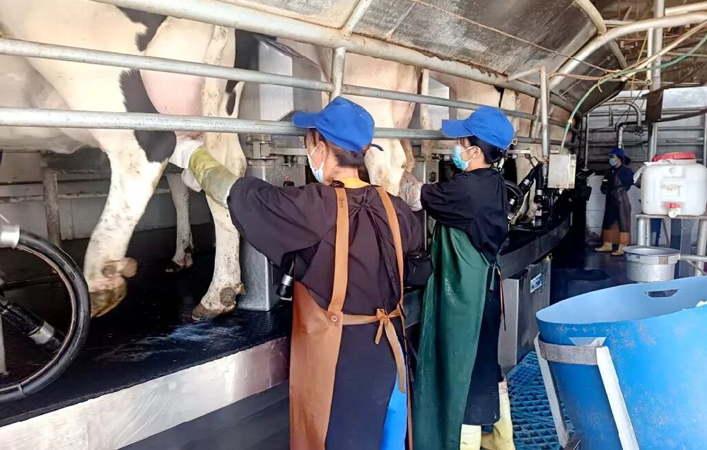 當(dāng)國慶遇上中秋，堅守崗位別樣“圓”